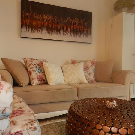 Klassik And Sunny Apartment! فيينا المظهر الخارجي الصورة